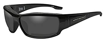 yÁzyAiEgpzHarley-Davidson Men's Drive 2 Gasket Sunglasses, Gray Lens/Black Frame HADRI01