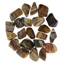 【中古】【輸入品・未使用】Hypnotic Gemsマテリアル: 3?lbs Tumbled Petrified Wood Stonesからマダガスカル???Small???0.75?