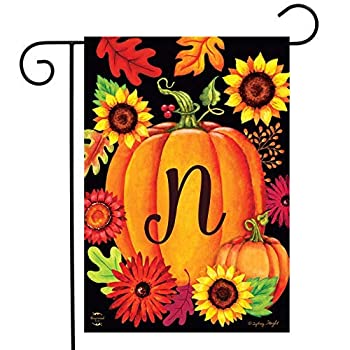 šۡ͢ʡ̤ѡBriarwood Lane Fall Pumpkin Monogram Letter N Garden Flag 12.5