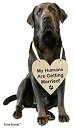 【中古】【輸入品 未使用】Pulse Brands Engagement Photo Prop Sign - My Humans are Getting Married - Engagement Gifts - Bride to Be - Engaged - Engagement Gifts f