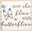 šۡ͢ʡ̤ѡSincere Surroundings PET10388 Butterflies 8 x 8, White [¹͢]