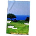 楽天スカイマーケットプラス【中古】【輸入品・未使用】3D Rose White Witch Golf Course-Montego Bay-Jamaica-Ca22 Gjo0127-Greg Johnston Hand/Sports Towel, 15 x 22 [並行輸入品]
