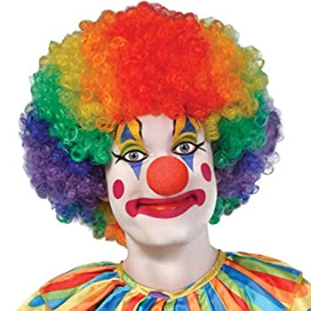 šۡ͢ʡ̤ѡAMSCAN Jumbo Clown Wig Halloween Costume Accessories, Rainbow, One Size ʥƥ꡼: إ꡼ [¹͢]