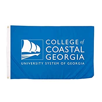 楽天スカイマーケットプラス【中古】【輸入品・未使用】Desert Cactus College of Coastal Georgia Mariners NCAA 100％ Polyester Indoor Outdoor 3 feet x 5 feet Flag [並行輸入品]