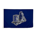 【中古】【輸入品・未使用】Desert Cactus SUNY State University of New York at Geneseo Knights NCAA 100% Polyester Indoor Outdoor 3 feet x 5 feet Flag (Style 1a) [(3)