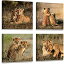 šۡ͢ʡ̤ѡLion wall Living room Decoration Animal Design Poster art Wall paintings Animal wall art Lion of judah wall art Animal decor Lion poste