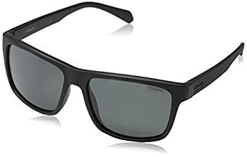 【中古】【輸入品・未使用】Polaroid Sunglasses Men's Pld2058/S Rectangular Sunglasses 商品カテゴリー: サングラス [並行輸入品]
