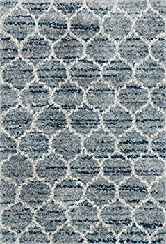 šۡ͢ʡ̤ѡLoloi Quincy Shag Collection Area Rug, 2ft-3 inch x 4ft-0, Spa/Pebble ʥƥ꡼: 饰 ڥå [¹͢]