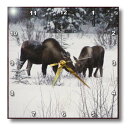 【中古】【輸入品・未使用】3dRose dpp_14600_3 Moose Cow and Calf Eating Winter Branches in The...