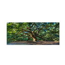 【中古】【輸入品・未使用】Angel Oak Charleston by Pierre Leclerc work, 16 by 32-Inch Canvas Wall Art 商品カテゴリー: ポスター 絵画 [並行輸入品]【メーカー名】Trademark Fine Art【メーカー型番】PL0001-C1632GG【ブランド名】Trademark Fine Art【商品説明】Angel Oak Charleston by Pierre Leclerc work, 16 by 32-Inch Canvas Wall Art 商品カテゴリー: ポスター 絵画 [並行輸入品]当店では初期不良に限り、商品到着から7日間は返品を 受付けております。こちらは海外販売用に買取り致しました未使用品です。買取り致しました為、中古扱いとしております。他モールとの併売品の為、完売の際はご連絡致しますのでご了承下さい。速やかにご返金させて頂きます。ご注文からお届けまで1、ご注文⇒ご注文は24時間受け付けております。2、注文確認⇒ご注文後、当店から注文確認メールを送信します。3、配送⇒当店海外倉庫から取り寄せの場合は10〜30日程度でのお届けとなります。国内到着後、発送の際に通知にてご連絡致します。国内倉庫からの場合は3〜7日でのお届けとなります。　※離島、北海道、九州、沖縄は遅れる場合がございます。予めご了承下さい。お電話でのお問合せは少人数で運営の為受け付けておりませんので、メールにてお問合せお願い致します。営業時間　月〜金　10:00〜17:00お客様都合によるご注文後のキャンセル・返品はお受けしておりませんのでご了承下さい。