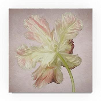 【中古】【輸入品 未使用】Trademark Fine Art Cora Niele Pink Parrot Tulip Painting Ii, 14x14-Inch 商品カテゴリー: ポスター 絵画 並行輸入品