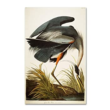 【中古】【輸入品・未使用】Great Blue Heron Artwork by John James Audubon, 22 by 32-Inch Canvas Wall Art 商品カテゴリー: ポスター 絵画 [並行輸入品]