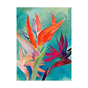 【中古】【輸入品・未使用】Trademark Fine Art Vivid Birds of Paradise I by Jennifer Paxton Parker, 18x24 商品カテゴリー: ポスター 絵画 [並行輸入品]