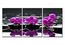 【中古】【輸入品 未使用】So Crazy Art- Flowers in Spa Wall Art Decor Blooming Purple Butterfly Orchid on The Black Zen Stones Canvas Pictures Artwork 3 Panel Pa