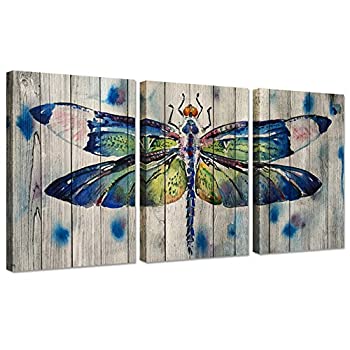 ޡåȥץ饹㤨֡šۡ͢ʡ̤ѡiHAPPYWALL 3 Pieces Canvas Wall Art Watercolor Dragonfly On Wood Background Vintage Animals Painting Print On Canvas Stretched and FramפβǤʤ47,005ߤˤʤޤ