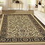 šۡ͢ʡ̤ѡRadici 1305 Noble Rugs, 3-Feet 3 by 5-Feet 4-Feet, Ivory ʥƥ꡼: 饰 ڥå [¹͢]