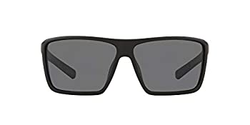 【中古】【輸入品・未使用】Native Wells XL Reflex Sunglasses 商品カテゴリー: サングラス [並行輸入品]