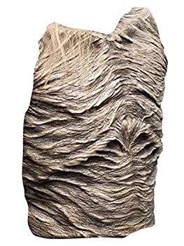 【中古】【輸入品・未使用】Trick Or Treat Studios APPAREL レディース US サイズ: Standard カラー: ホワイト