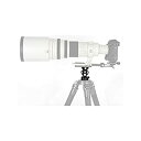 【中古】【輸入品・未使用】SunwayFoto DT-02 一脚ヘッド 耐荷重26.5ポンド