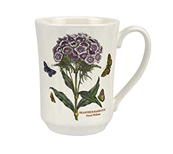 Portmeirion Botanic GardenフレアTankard Mug , Set of 6?( Assortedモチーフ)