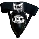 【中古】【輸入品・未使用】WINDY Cup ムエタイホルダー ステンレス 鼠径部プロテクター スチール MMA ボールサポート メンズ X-Large