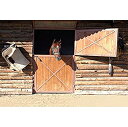 【中古】【輸入品・未使用】laeacco 7?x 5ftビニール写真背景TurkeyファームHorse BarnウィンドウOpendingドアフェンス壁サドル田舎景色Backdrops子供アート肖像画写真撮影