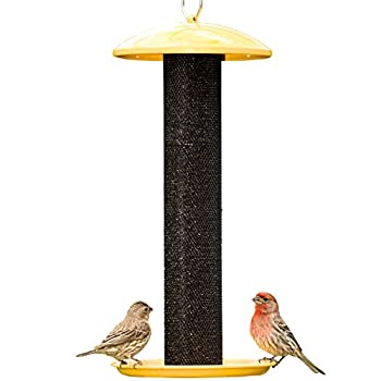 【中古】【輸入品・未使用】No-No Feeder NONOYSSF00346 Straight Sided Finch Fee...