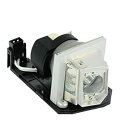 【中古】【輸入品・未使用】FI Lamps bl-fp230d / SP。8eg01gc01ランプwith housing for OPTOMA ex612?ex615?hd180?hd20?hd22?hd200?X hd200?X -lv hd2200?ht1080?