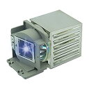 【中古】【輸入品・未使用】CTLAMP A+ 品質 SPLAMP069 交換用プロジェクターランプ SPLAMP069 IN112 IN114 IN116 IN...