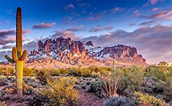 【中古】【輸入品・未使用】leowefowa 7?x 5ft Nature Landscape Backdrop Mountain Desert Cactus Backdrops for Photographyグリーン植物ブルースカイアウトドア旅行ビニ