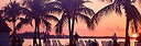 yÁzyAiEgpzPanoramic Images ? Sunset on the beach, Miami Beach, Florida, USA t@CA[g@vg (91.44 x 30.48 cm)