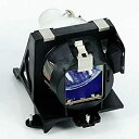 【中古】【輸入品・未使用】CTLAMP 400???0401???00交換用プロジェクターランプwith housing for projection Desi...