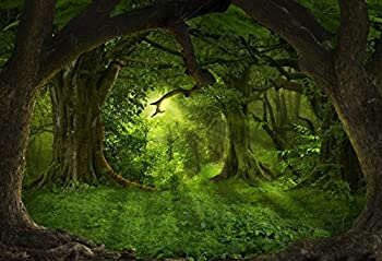 【中古】【輸入品・未使用】トロピカルジャングル写真バックドロップ???写真背景???Yeele 10?x 8ftビニールMysterious Dreamy、カスタマイズMagical Forest Backdrop 【中古】【輸入品・未使用】トロピカルジャングル写真バックドロップ???写真背景???Yeele 10?x 8ftビニールMysterious Dreamy、カスタマイズMagical Forest Backdrop