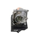 【中古】【輸入品・未使用】交換用プロジェクターランプnp20lp withハウジングフィットfor NEC np-u300?X ; np-u310?X ; u3...
