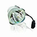 【中古】【輸入品・未使用】AWO プロジェクター裸ランプ電球 交換用 EPSON ELPLP89 / V13H010L89 EH-TW7300 TW8300 T...