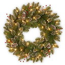 【中古】【輸入品・未使用】24?in。Glittery Mountain Spruce Wreath 24X24X6 グリーン GLM1-300-24W-B1