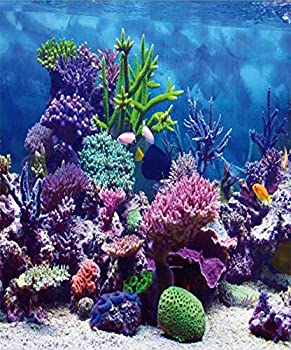 【中古】【輸入品・未使用】Leowefowa 8x10フィート 水中世界背景 水族館 サンゴ 魚 ブルー 海 ロマンティック 壁紙 結婚式 旅行 ビニ..