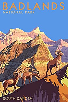 【中古】【輸入品・未使用】バッドランズ国立公園、South Dakota???Bighorn Sheep 24 x 36 Giclee Print LANT-45082-24x36