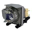 【中古】【輸入品・未使用】stanlamp rlc-082プレミアム交換用プロジェクターランプwith housing for Viewsonic pjd835...
