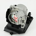 【中古】【輸入品・未使用】AWO-LAMPS BL-FP230G 交換用ランプ ハウジング付き OPTOMA TX565UT-3D
