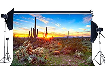 【中古】【輸入品・未使用】Hasdrop トロピカル サボテン 背景 7X5フィート ビニール 野生の砂漠 背景 自然 日の出 緑 植物 ブルー 空 白 雲 エジプトの写真 背景 屋外 観光