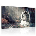 【中古】【輸入品・未使用】HaYork ホワイトタイガー 瞑想写真プリント キャンバス 動物 ウォールアート 禅 アートワーク ペインティング ホームデコレーシ...