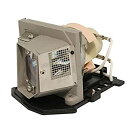 【中古】【輸入品・未使用】SpArc OEM 交換用ランプ 囲い/電球付き Sanyo POA-LMP133用 Economy