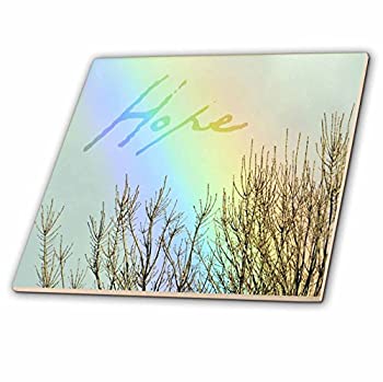 šۡ͢ʡ̤ѡ3drose CT 42745?_ 8?Hope rainbow-inspirational photograph...