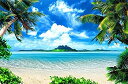 【中古】【輸入品・未使用】Leowefowa 16x10フィート 砂浜 背景幕 海辺の島のココナッツの木 青空と白の雲の背景 写真撮影 子供 大人 夏の休日 ビ...