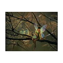 【中古】【輸入品・未使用】商標FineアートFeathered Friends by Kirk Reinert 24x32 ALI30877-C2432GG