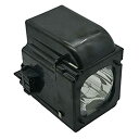 【中古】【輸入品・未使用】CTLAMP Professional bp96???01653?A用交換ランプハウジングfor Samsung hl50?a650?...