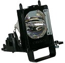 【中古】【輸入品・未使用】交換ランプハウジングfor Mitsubishi wd-73840?with Osram p-vip電球Inside