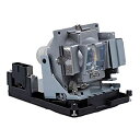【中古】【輸入品・未使用】AWOオリジナルプロジェクターランプ電球bl-fs300?C withハウジングフィットfor OPTOMA th1060p tx77...