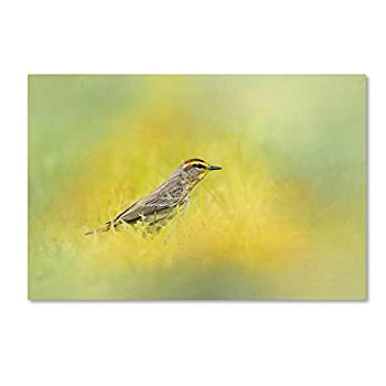 【中古】【輸入品・未使用】商標Fineアートキャンバスアート 16x24 ALI14466-C1624GG